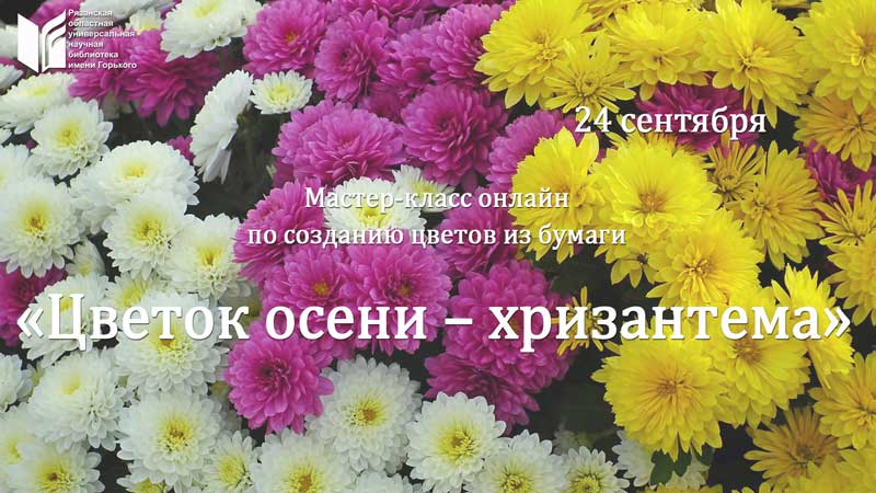 Букет хризантем кустовых 31 шт в матовой бумаге (цвет на выбор)