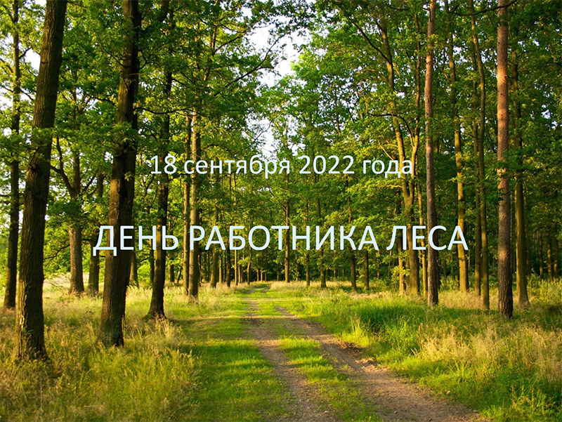 18 сентября 2016. День леса. С праздником леса. День леса в России 2022. День работников леса в 2022 году.